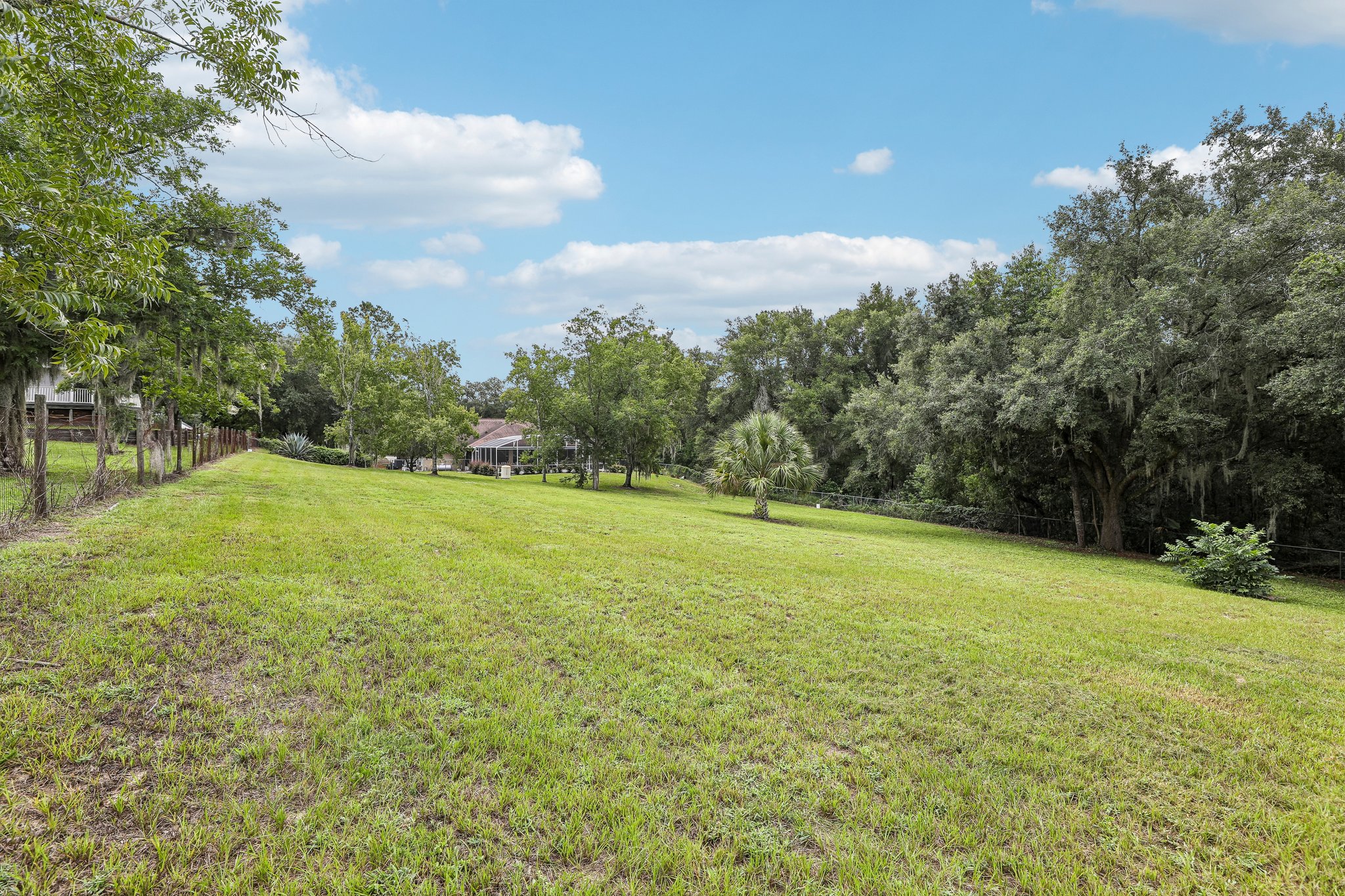 Buttercup Ln-S0508-041.jpg