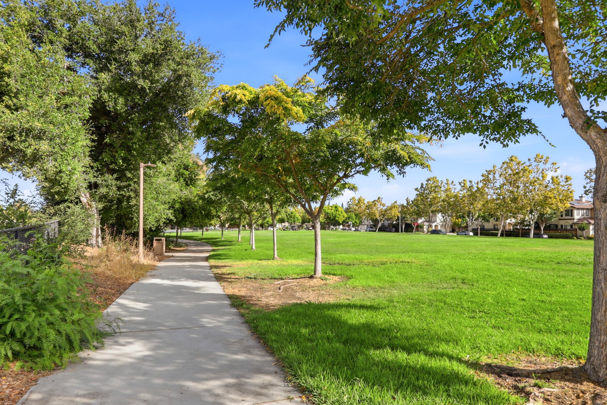 048_F8_3075 Rubino Cir