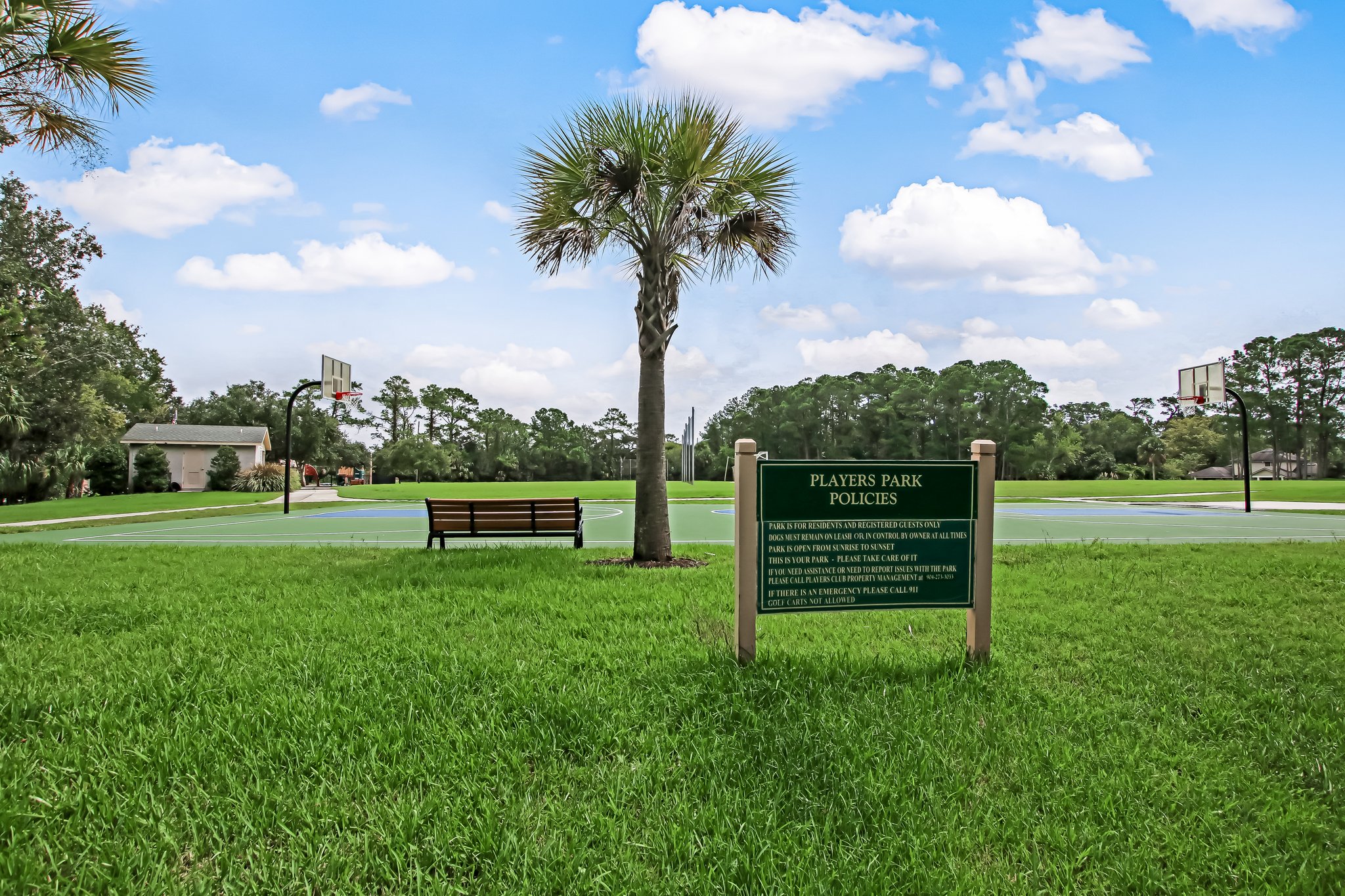 Sawgrass TPC