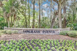 Sawgrass TPC