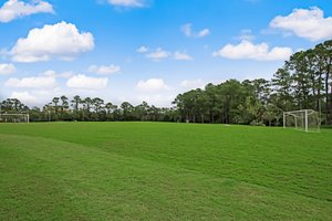 Sawgrass TPC