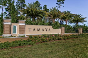 Tamaya