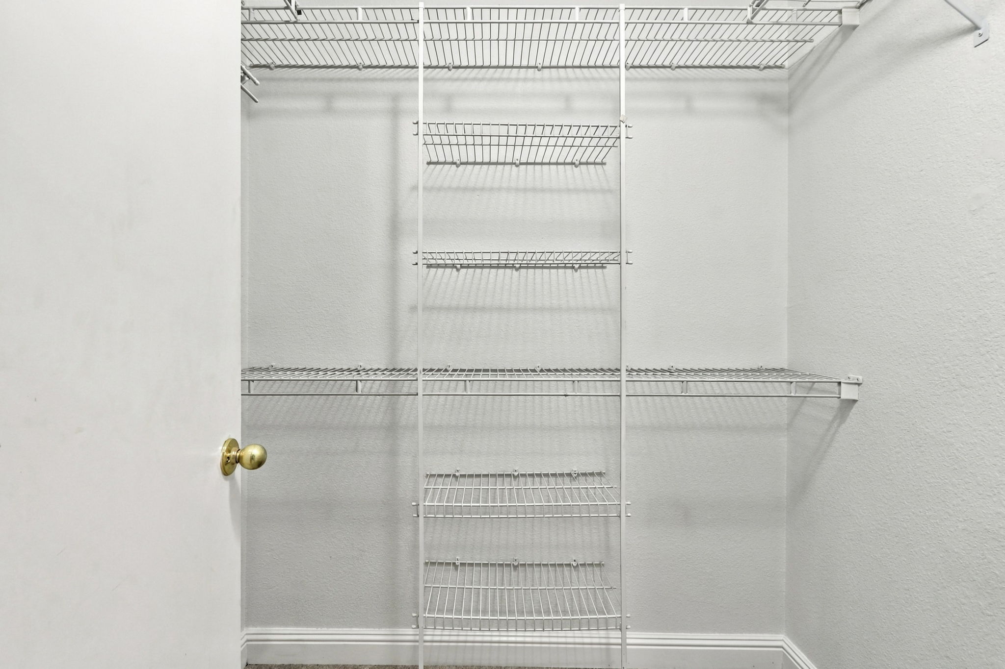 Primary Walk-In Closet