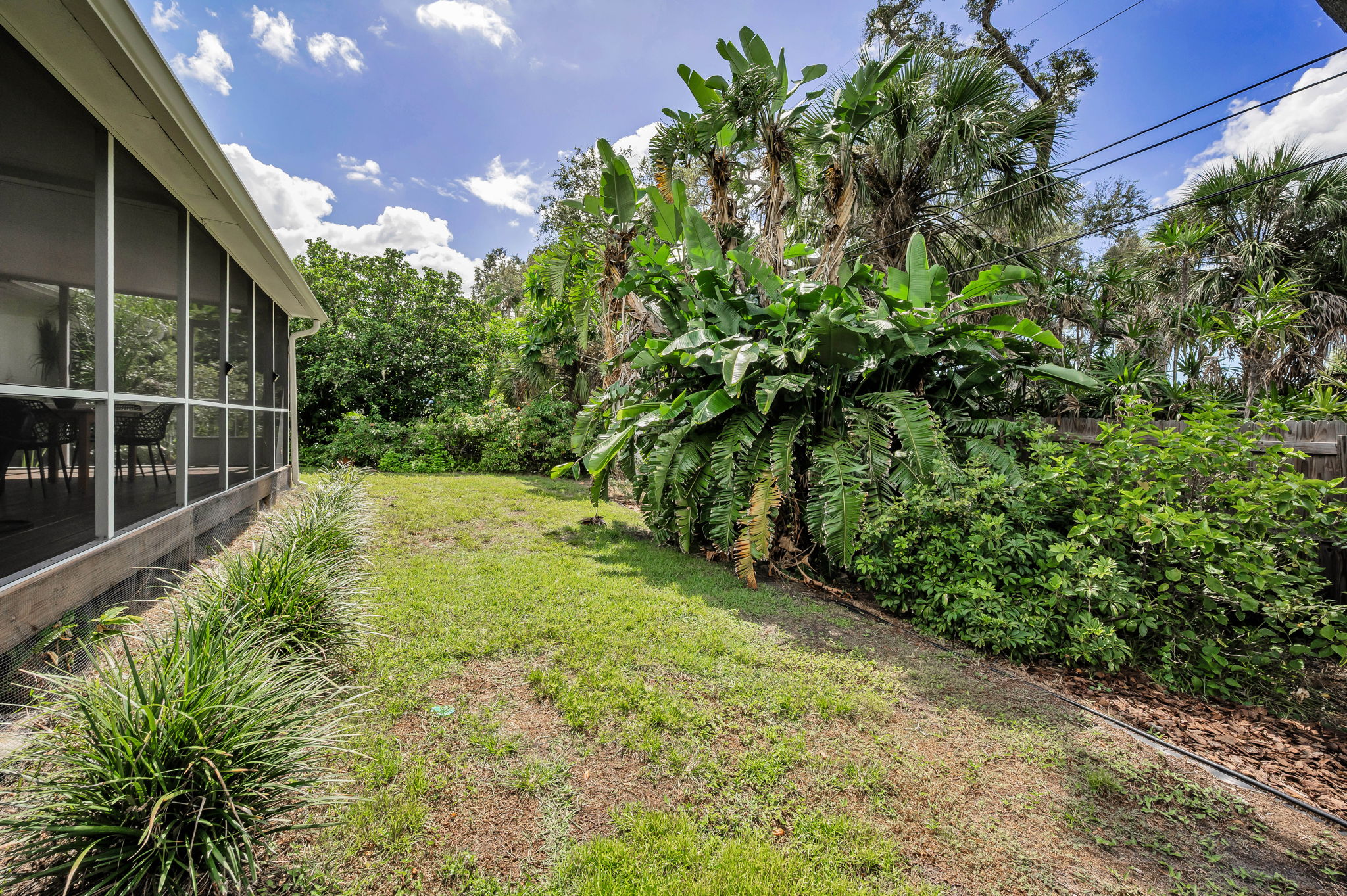 Backyard2