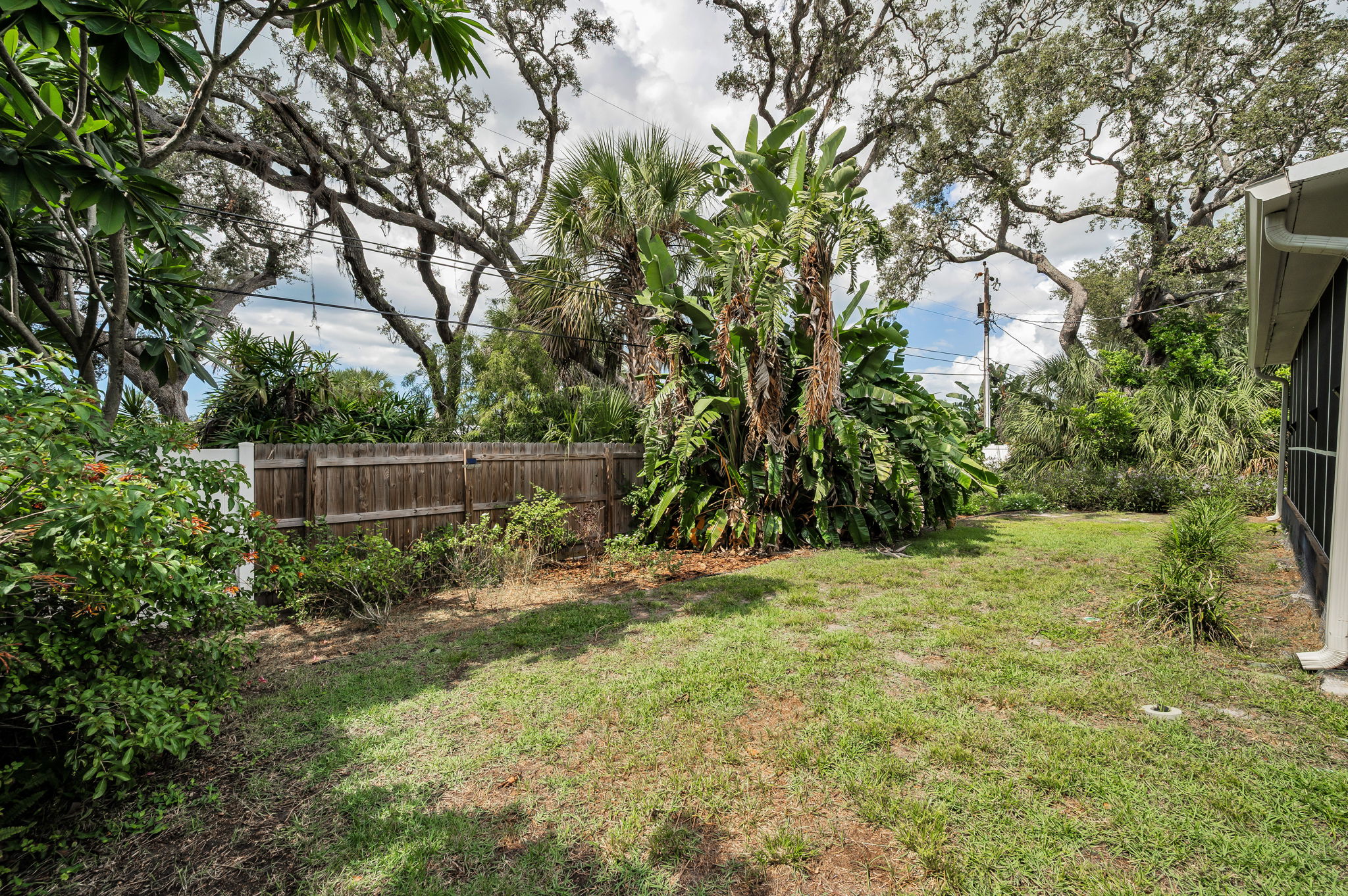 Backyard5