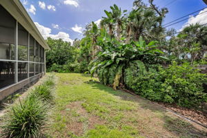 Backyard2