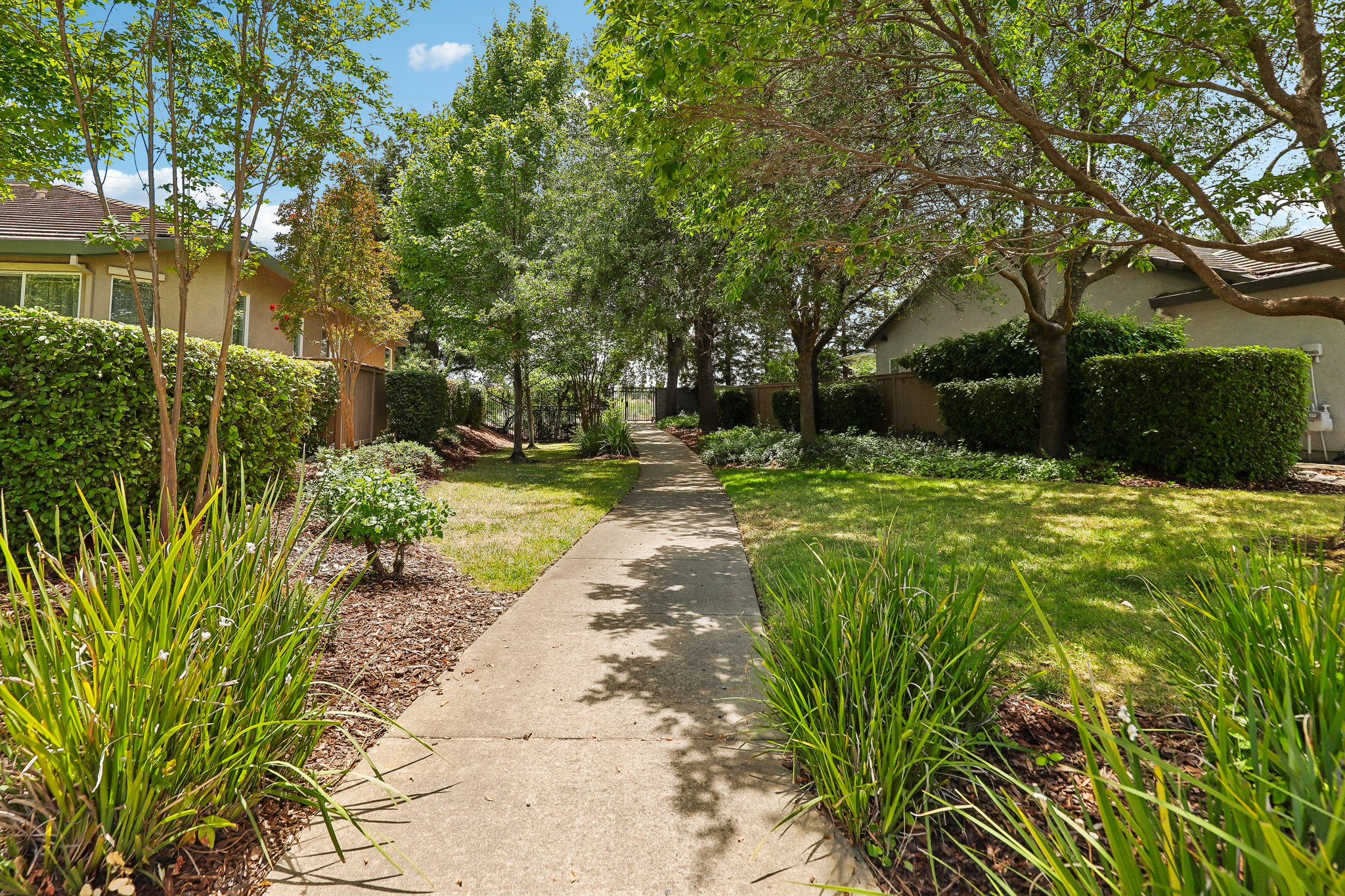 Fleming Dr-2207-921.jpg