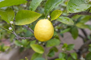  Photo 46