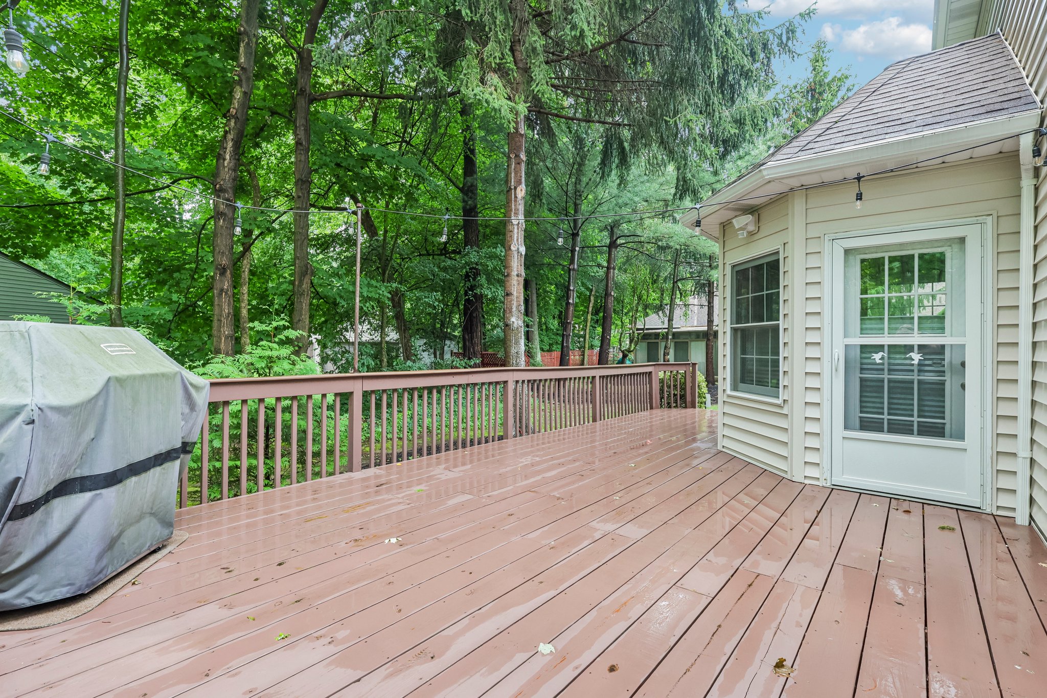Silktree Ln-S1108-048.jpg
