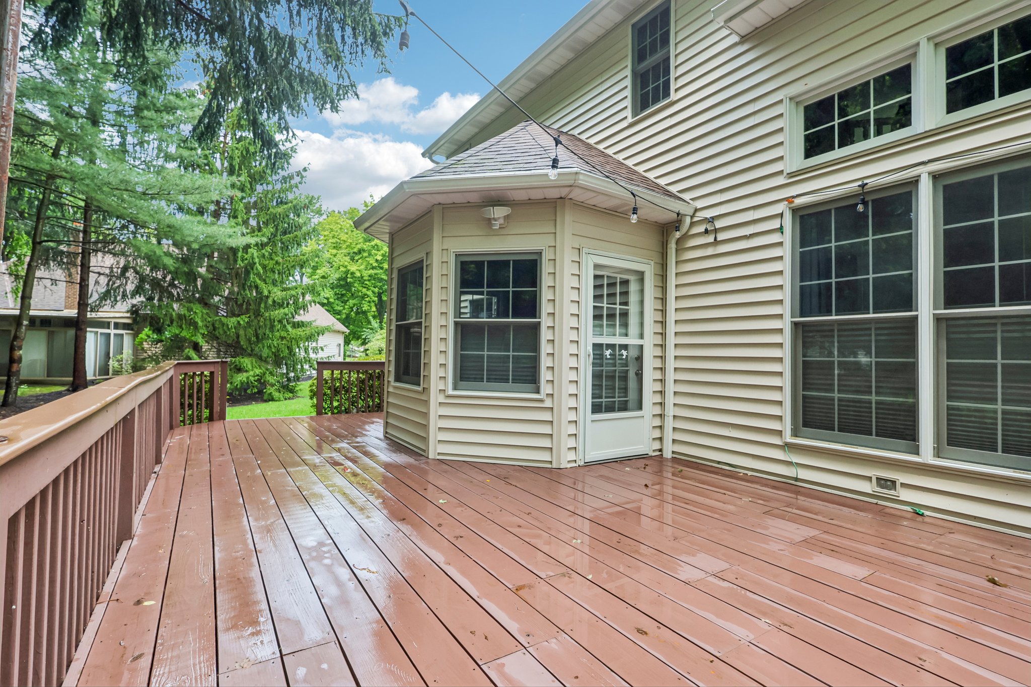 Silktree Ln-S1108-049.jpg