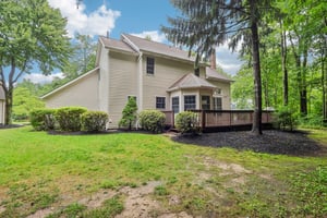 Silktree Ln-S1108-046.jpg