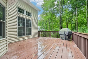 Silktree Ln-S1108-050.jpg