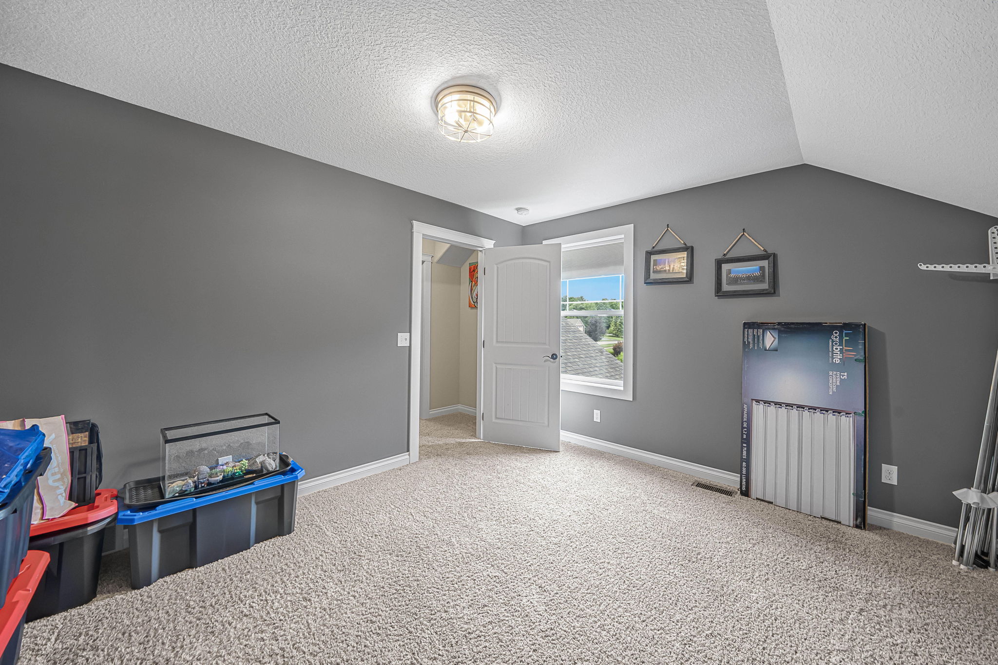  Photo 50