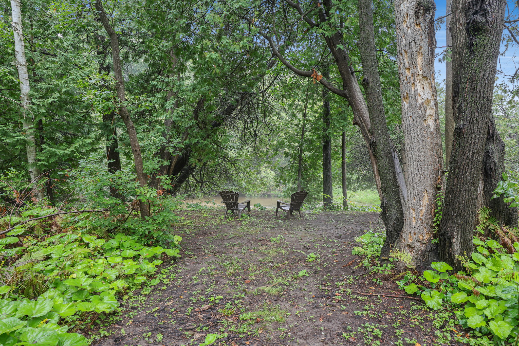  Photo 40