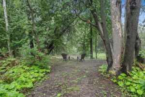  Photo 39