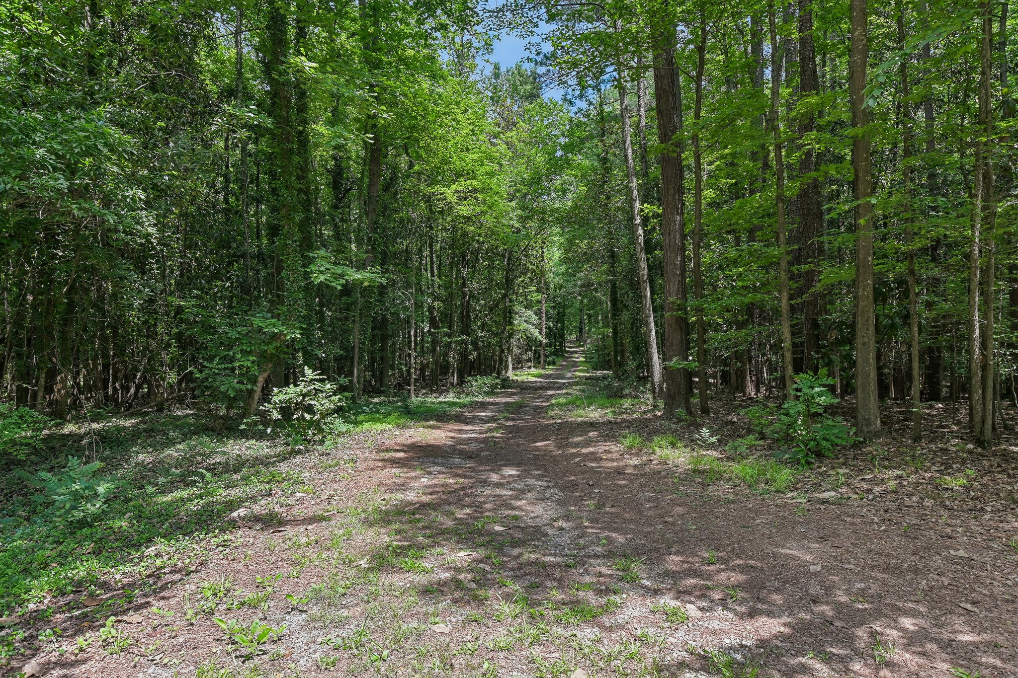 Cascade Rd-S1306-005.jpg
