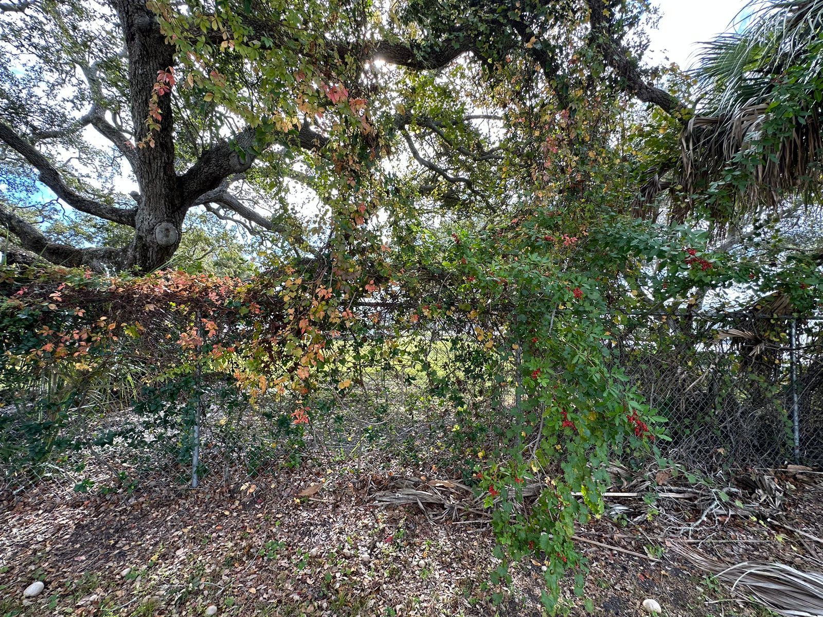 lot 5