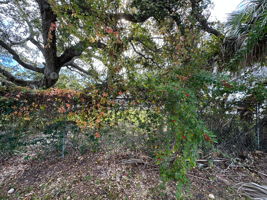 lot 5