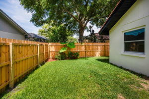 Backyard1