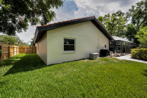 Backyard2