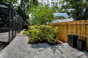 Backyard3