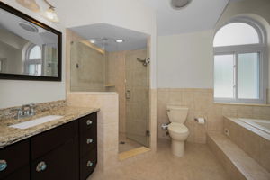 Master Bathroom1b