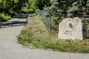 Photo 51