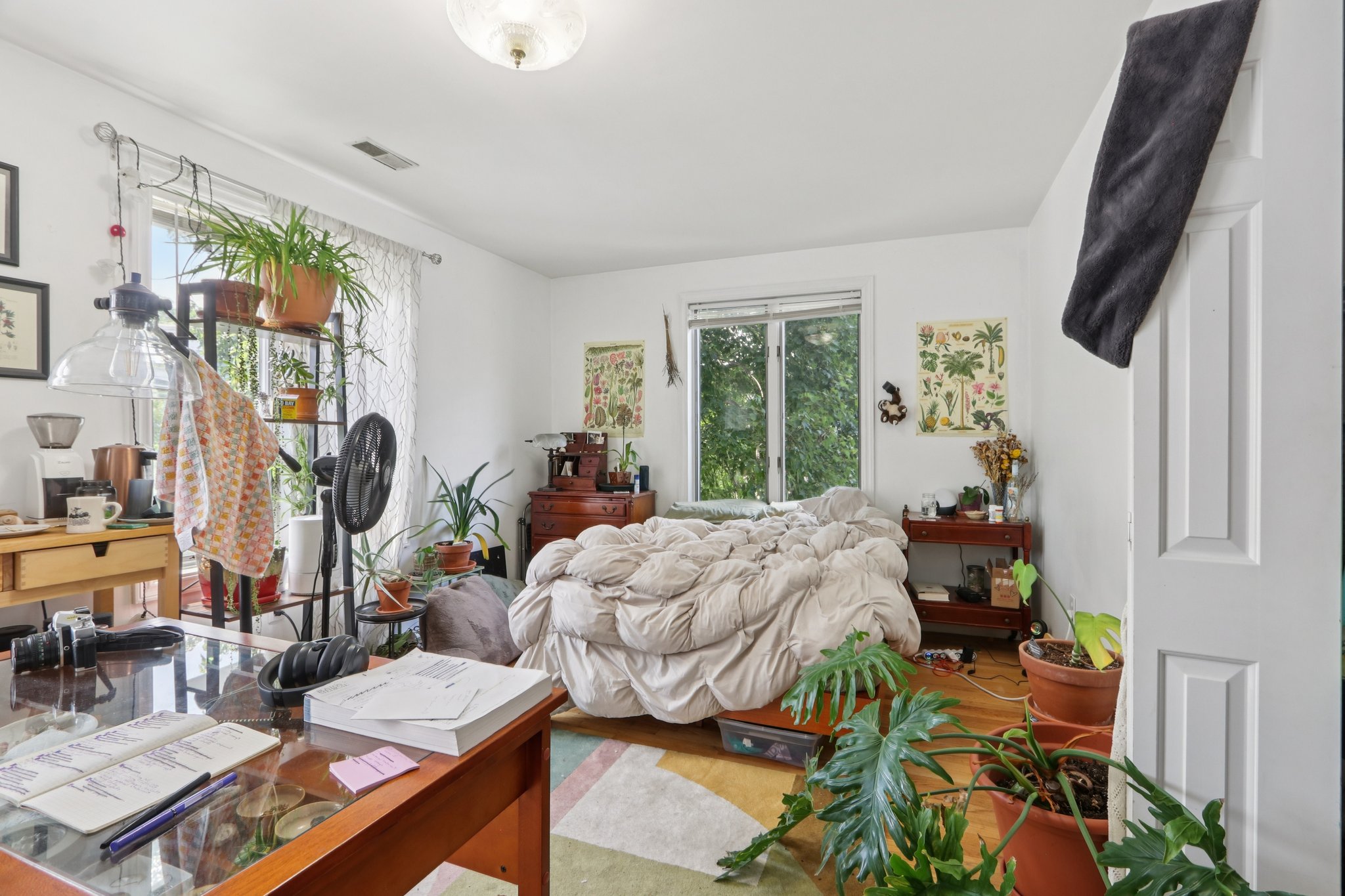 Beacon St-2406-033.jpg