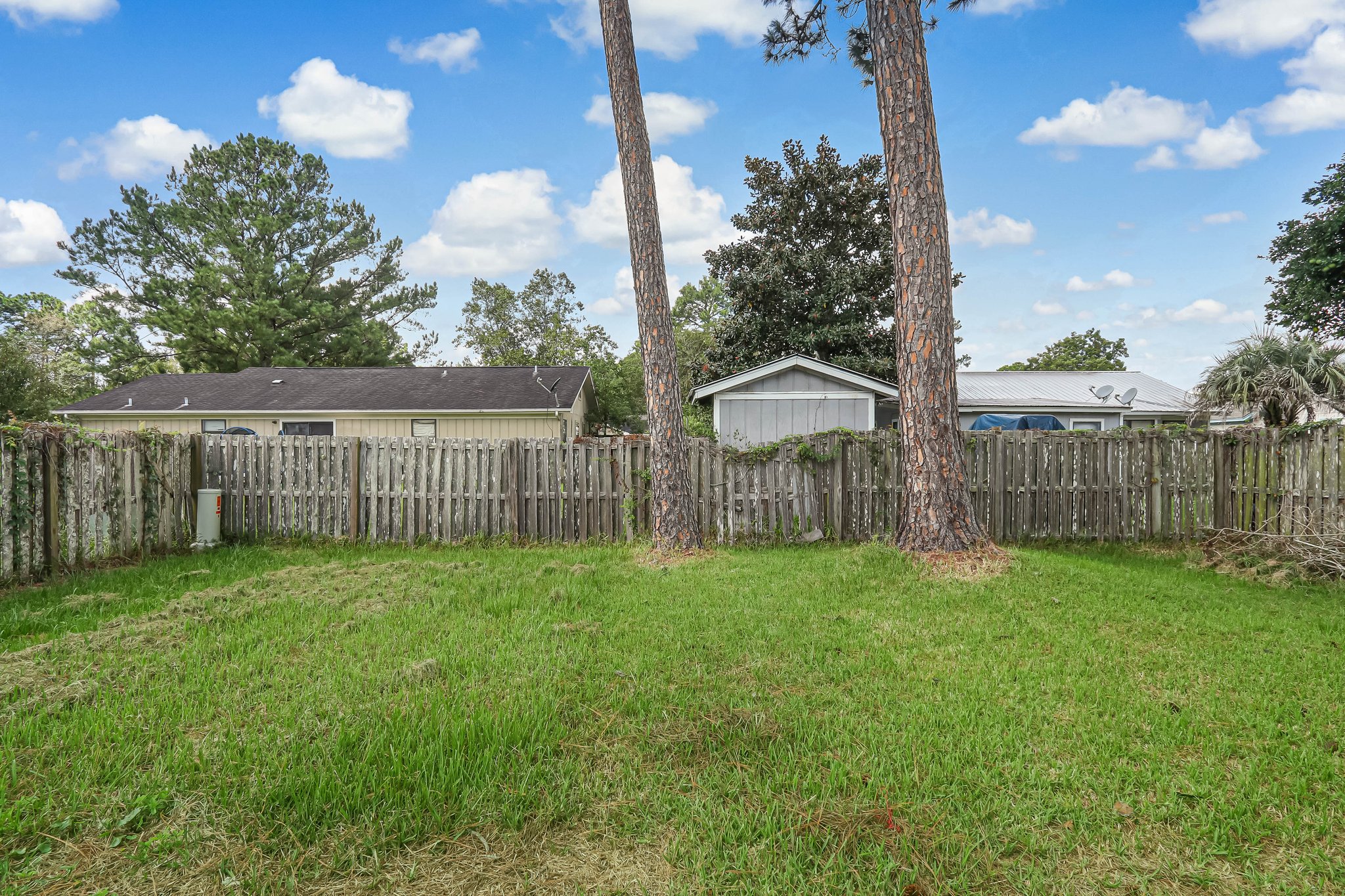 Back Yard