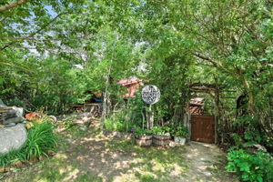  Photo 31
