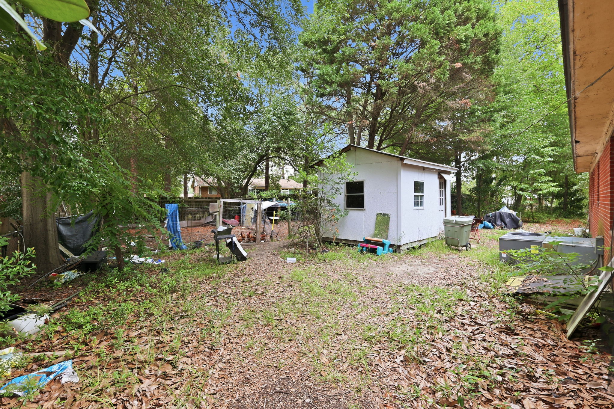  Photo 13