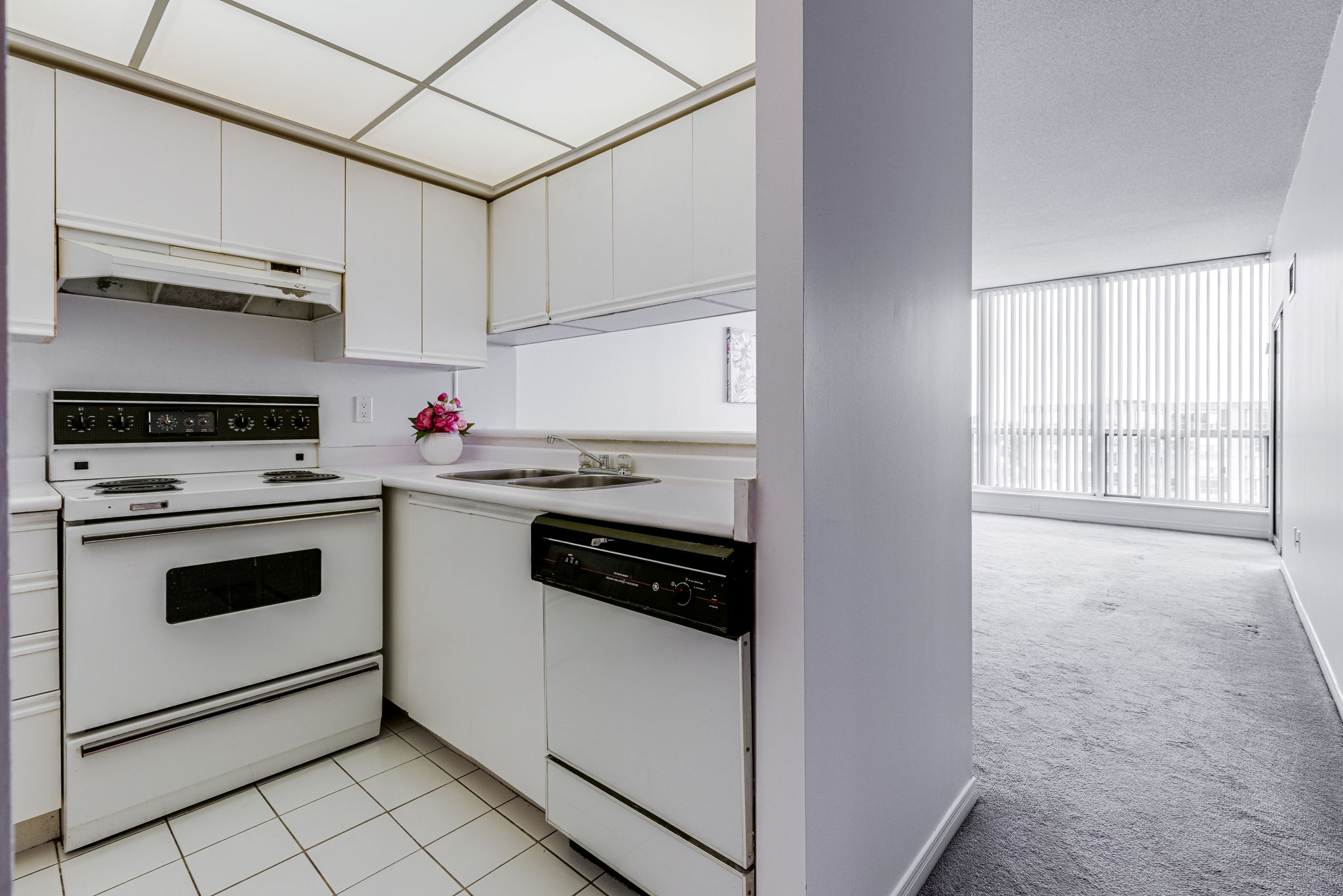 Richmond Hill property showcase — delivered property photograph 6