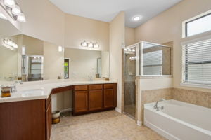 Owner's Bath