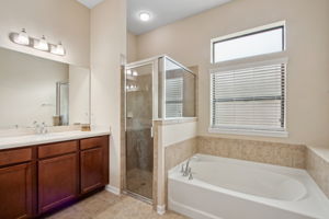 Soaking Tub and Walk-in Shower