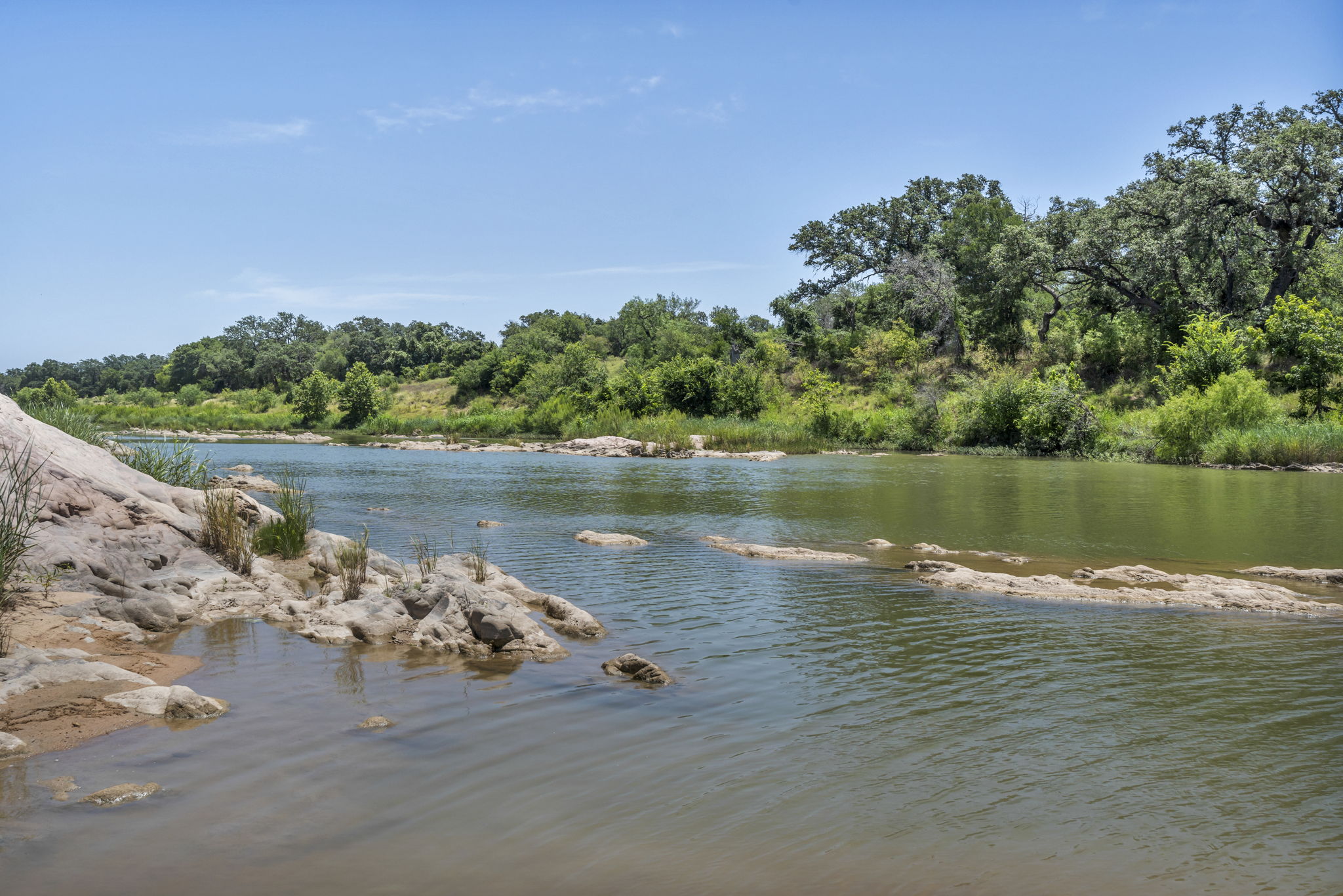 kayak or canoe or swim!