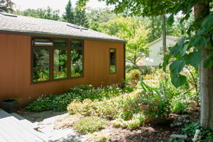  Photo 42
