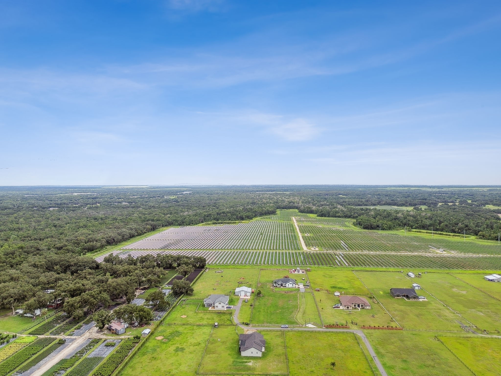 DJI_0889