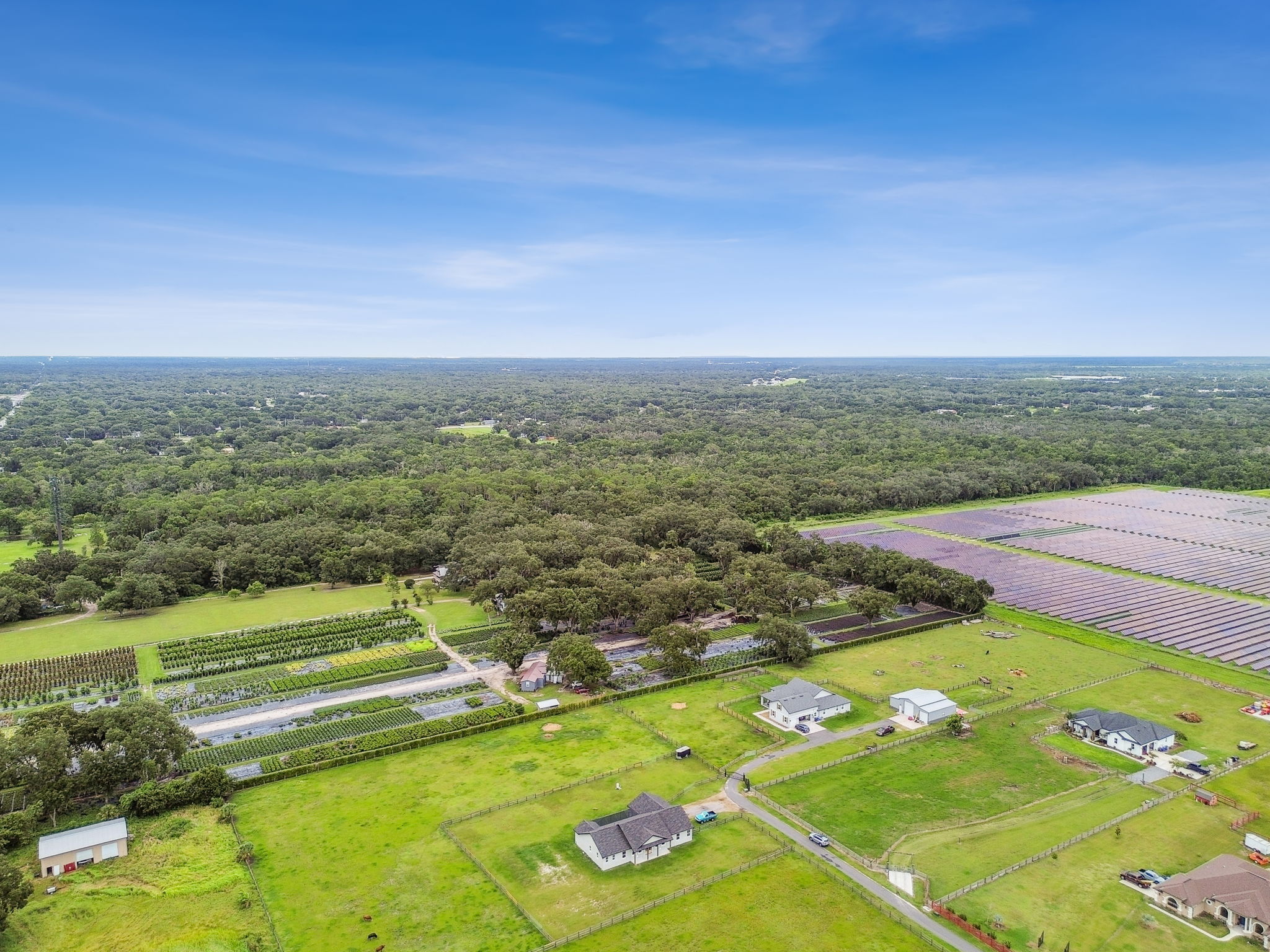 DJI_0931