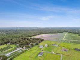 DJI_0886