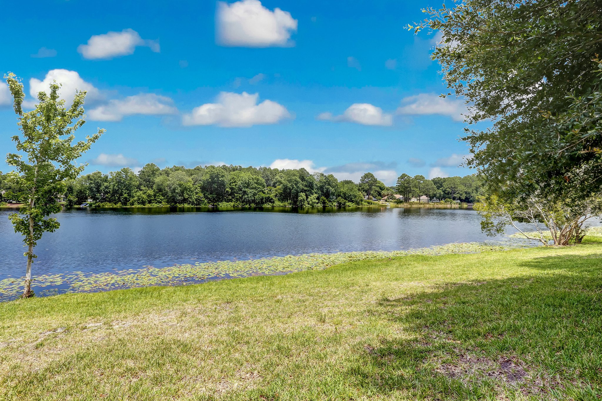 Amelia Lakes