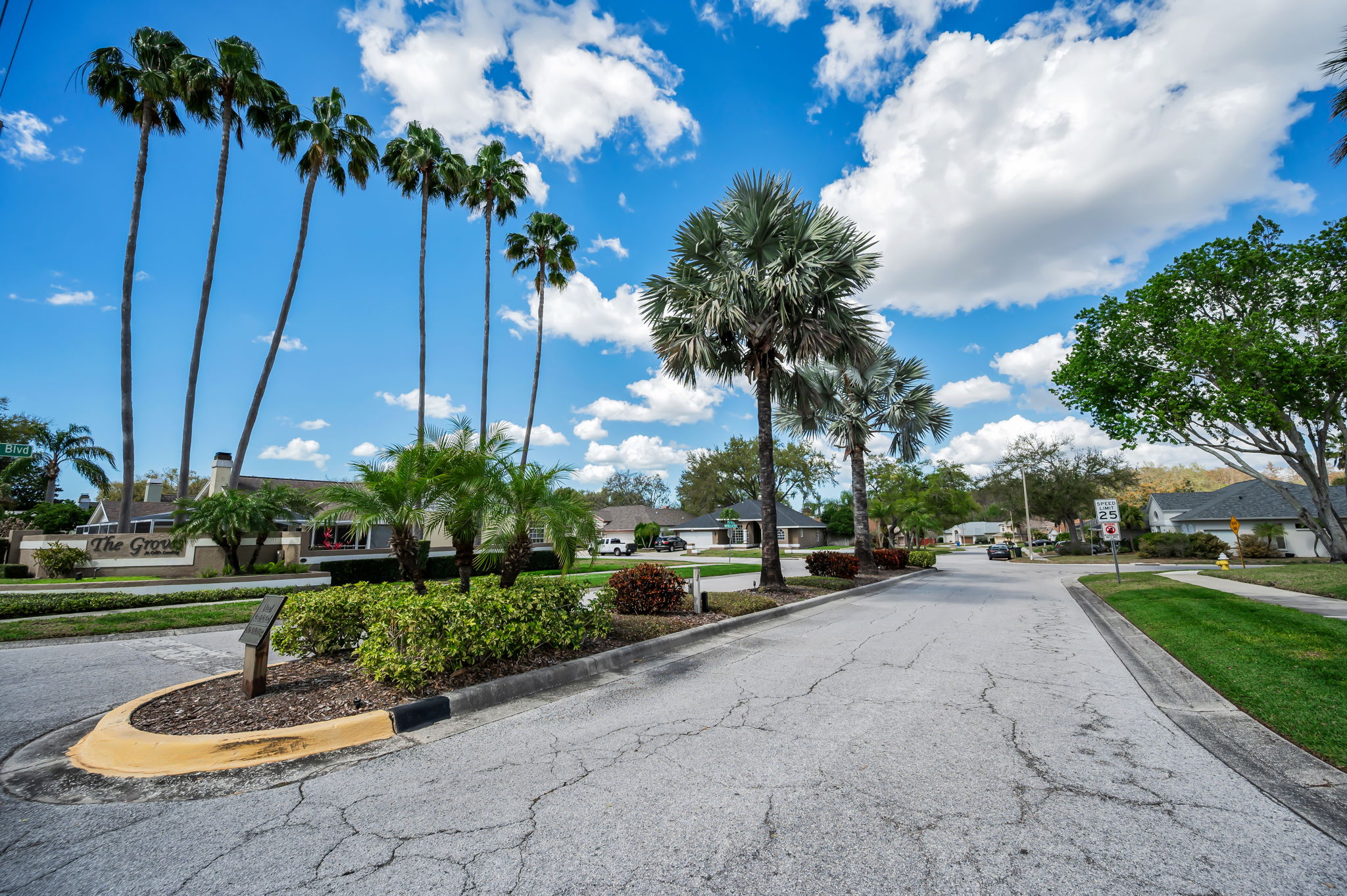 Groves at Cobbs Landing3