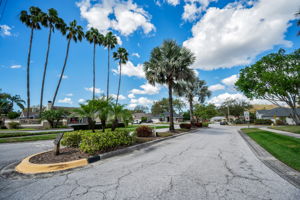 Groves at Cobbs Landing3