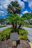 Groves at Cobbs Landing4