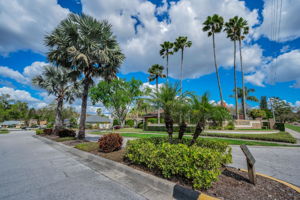 Groves at Cobbs Landing5