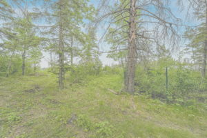  Photo 37