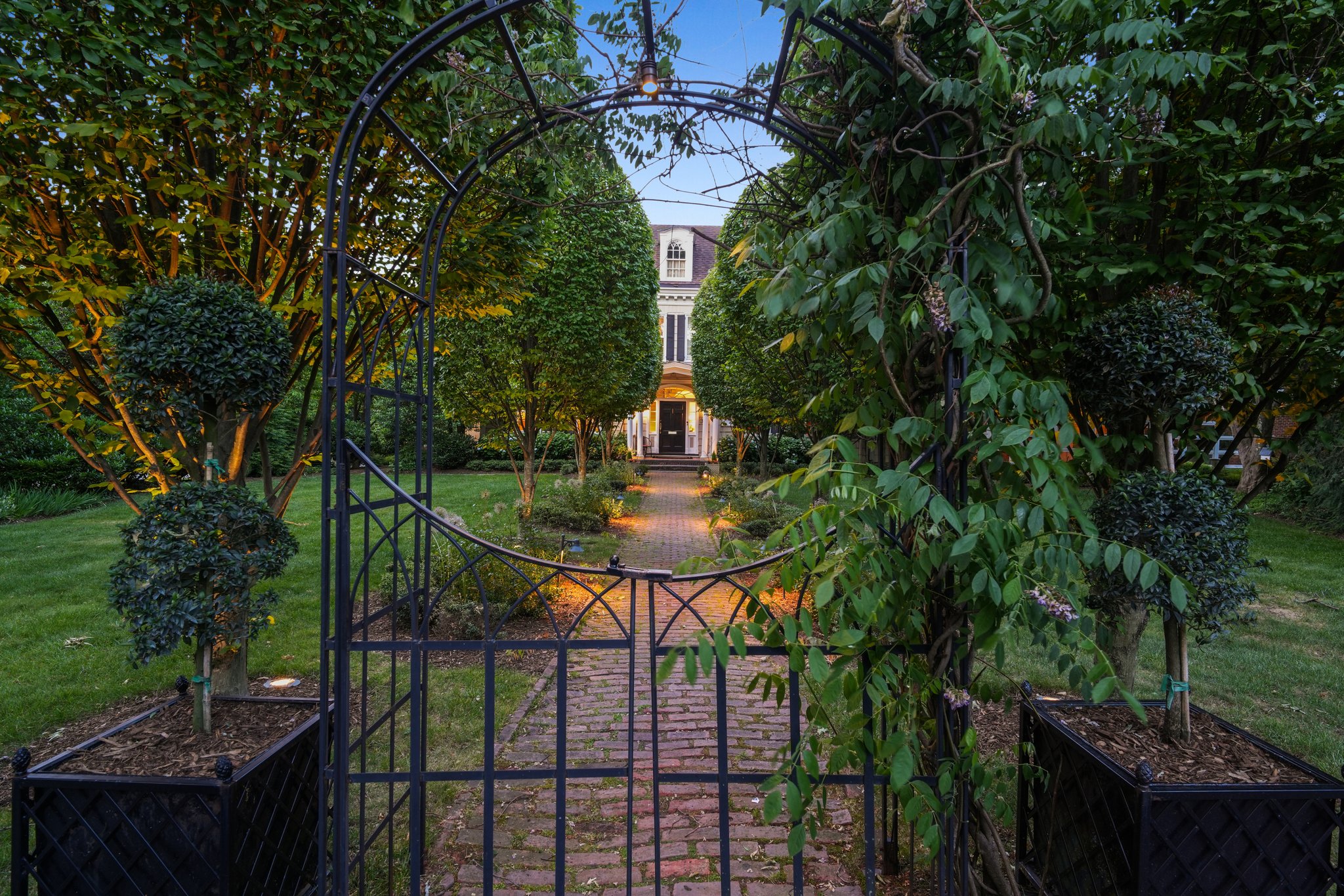VMD001Dusk.jpg