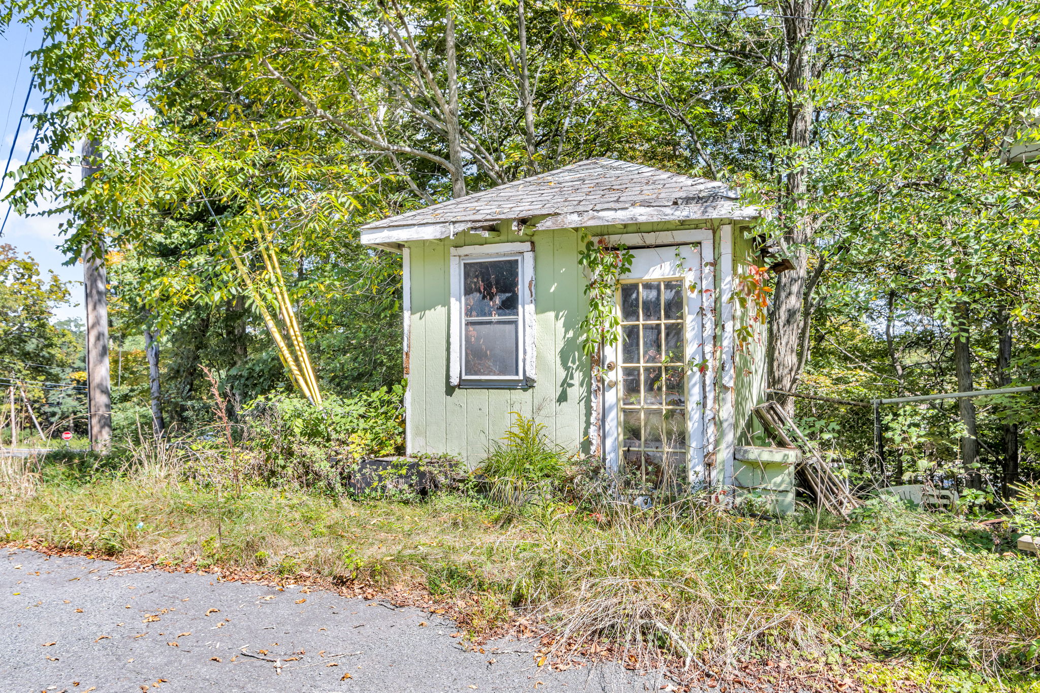 Shed (to the left of 21 Foster)