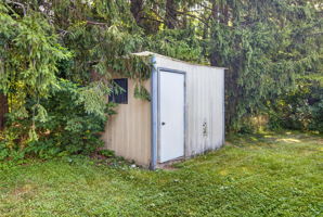  Photo 41