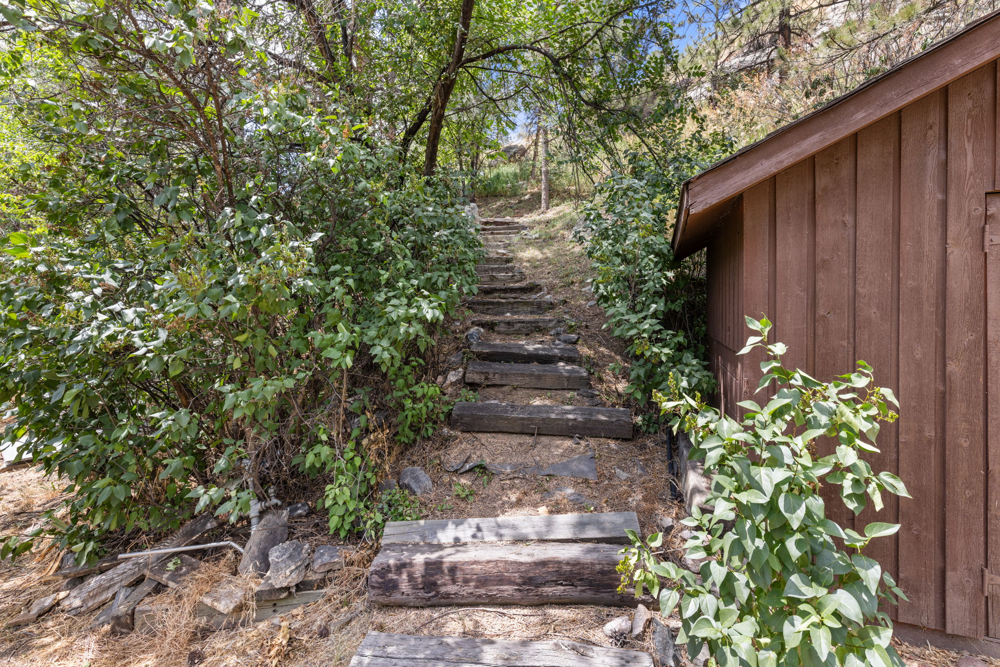 Lots of Trails Around the Property