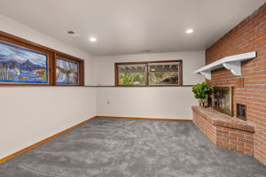 Family Room Downstairs with Another Fireplace